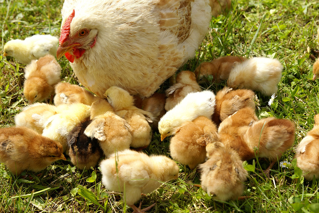 Better for the planet